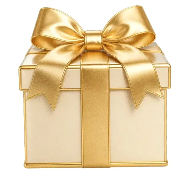 Wrapped gift box — Smash